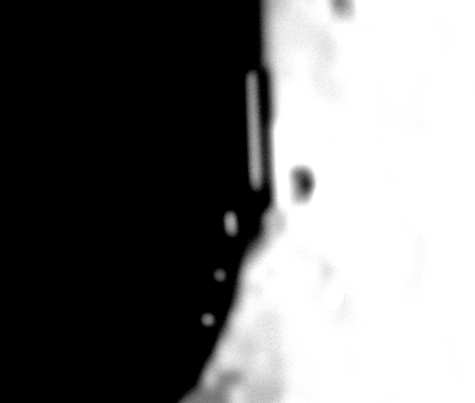 DSCN0469.JPG