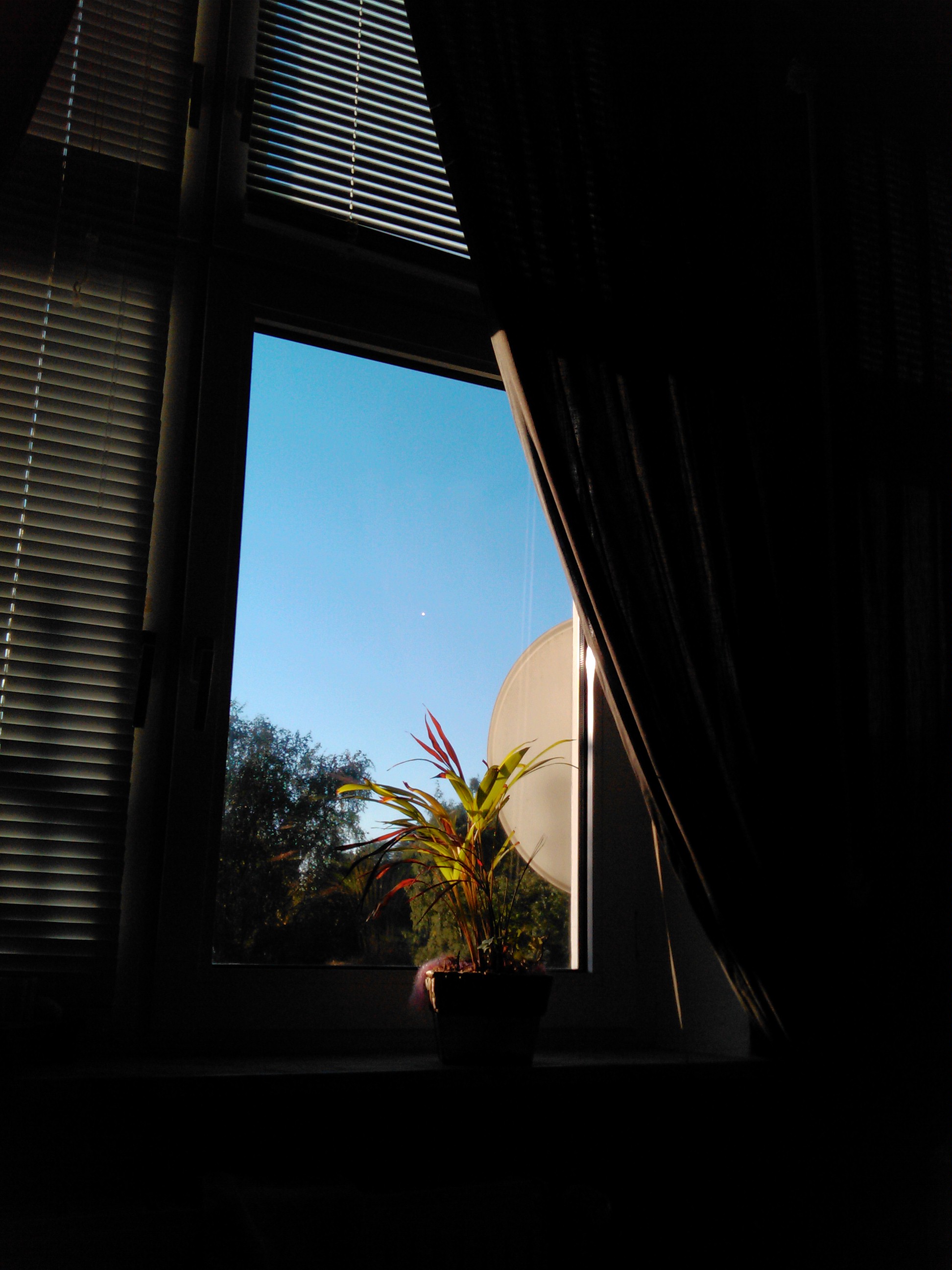IMG_20150930_085840.jpg