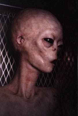 aliens_real_alien_pic.jpg